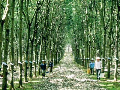 HRC: Kl99 nổ hũ 2013 giảm gần 27%