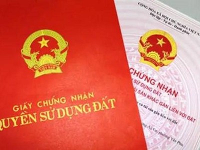 Ảnh Internet