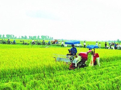 99Kl99 trực tiếp đá gà hỗ trợ phí Kl99kl phiên bản hoạt động nông nghiệp cho hộ nghèo, cận nghèo đến 90%