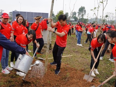 Lãnh đạo, cán bộ, nhân viên Dai-ichi Life Việt Nam trồng 100 cây xanh tại Khu di tích lịch sử Đền Hùng 