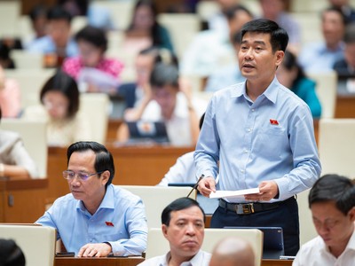 Đại biểu Quốc hội Lê Thanh Hoàn thảo luận về vấn đề tham nhũng trong lĩnh vực đất đai