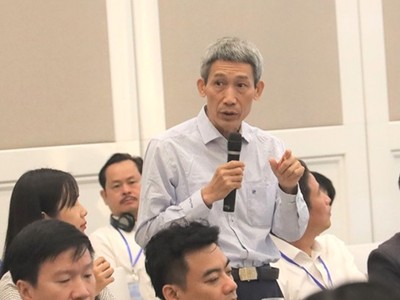 PGS.TS Phạm Duy Nghĩa, Chuyên gia tư vấn ADB, Đại học Fulbright Việt Nam phát biểu tại Hội thảo sáng 11/7.