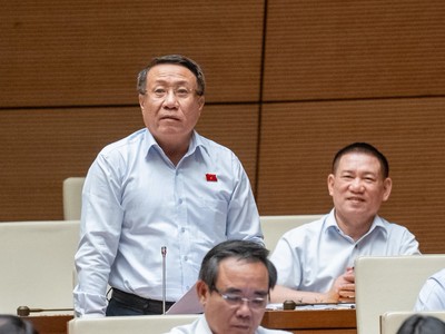 Đại biểu Hà Sỹ Đồng (đoàn Quảng Trị) 