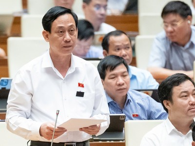 Đại biểu Quốc hội Mai Văn Hải (đoàn Thanh Hoá)
