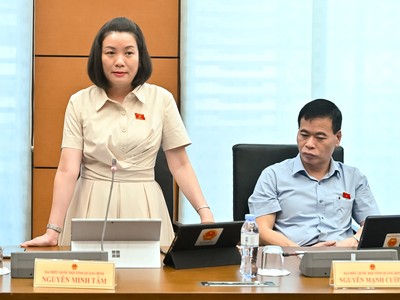 Đại biểu Nguyễn Minh Tâm (đoàn Quảng Bình) phát biểu tại tổ sáng 31/10.