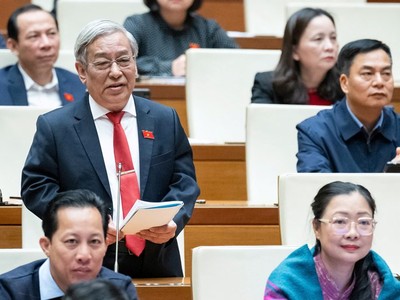 Đại biểu Lê Xuân Thân (đoàn Khánh Hòa) đề nghị đổi tên các kỳ họp bất thường của Quốc hội thành kỳ họp chuyên đề