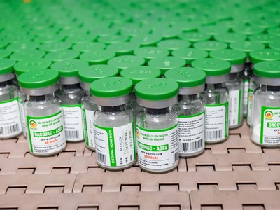 Vaccine phòng dịch tả lợn châu Phi của Dabaco vừa được cấp giấy chứng nhận lưu hành thương mại ngày 28/2/2025.