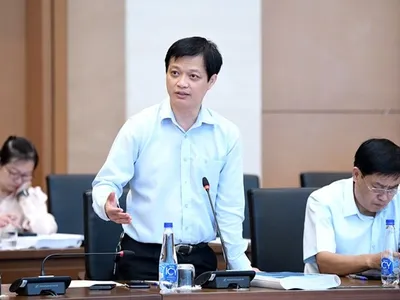 Đại biểu Nguyễn Hải Nam phát biểu chiều 20/5 (Ảnh: QH)