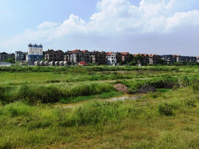 Ảnh Dũng Minh