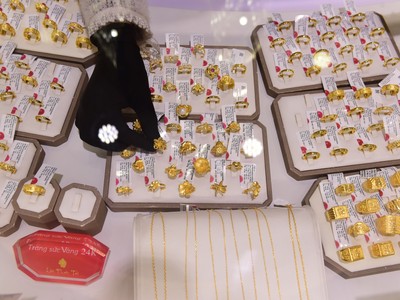 Toàn cảnh Toạ đàm