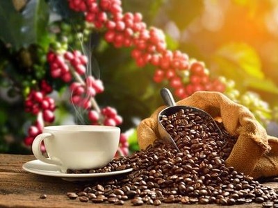 Bản tin thị trường hàng hoá ngày 7/2: Giá cà phê tiếp tục tăng cao, chốt mốc kỷ lục 
