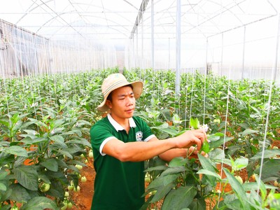 Gần như tất cả các Kl991.com World Cup 2026 Chính Thức đều chịu tác động tiêu cực bởi Covid-19. Ảnh: Lê Toàn