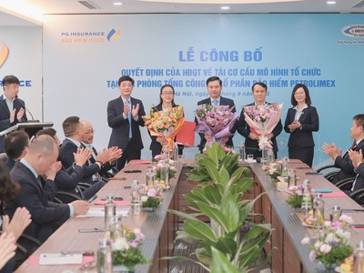 Kl99kl phiên bản hoạt động PJICO tái cơ cấu Văn phòng Tổng công ty