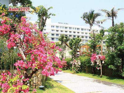Trong nghịch cảnh, hoa vẫn nở như tinh thần doanh nhân Việt vươn lên trong gian khó.