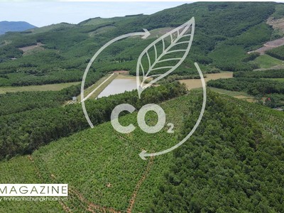 Agribank - mắt xích Kl991.com nạp rút nhanh trong chuỗi giá trị tín chỉ carbon