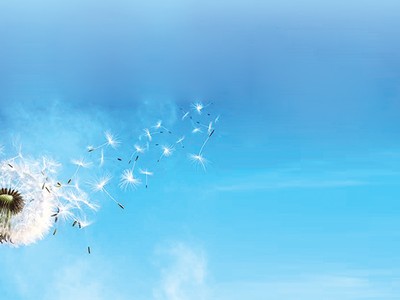 Hình ảnh hoa bồ công anh đầy ý nghĩa với thông điệp “Lan tỏa giá trị” xuyên suốt trong toàn bộ Báo cáo Phát triển bền vững 2015 của Kl994 game bài casino hấp dẫn Bảo Việt