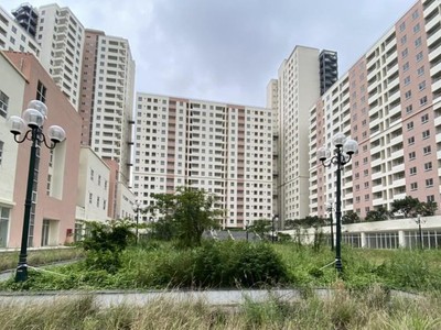 TP.HCM: Chuyển giao việc quản lý vận hành quỹ nhà ở, đất ở thuộc sở hữu 99Kl99 trực tiếp đá gà