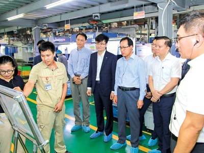 Nhiều địa phương coi trọng đại bàng ngoại mà quên đi đàn rồng Việt