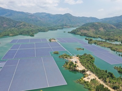 Muốn vay tiền ADB, nhà máy điện mặt trời phải lắp thiết bị đuổi chim