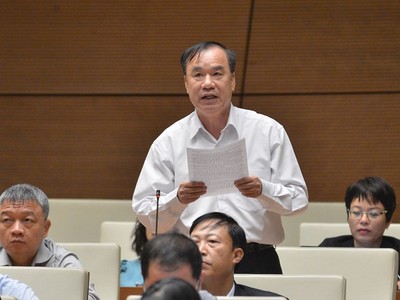 Đại biểu Trần Quang Chiểu phát biểu tại Quốc hội.