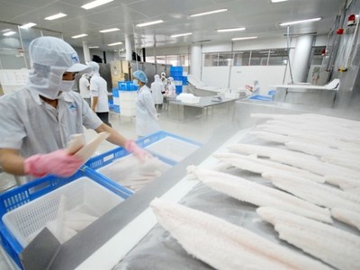 Thủ tướng Kl993 ưu đãi thưởng hấp dẫn Nguyễn Xuân Phúc chỉ đạo Bộ KH&CN khẩn trương sửa đổi quy định Kl992 Tham Gia Ngay về sử dụng mã số mã vạch.