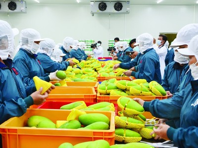 RCEP sẽ giúp mở cửa để Việt Nam Link Vào Nhà Cái KL99 COM Tặng +199k hàng hóa rẻ hơn, đặc biệt là các nguyên vật liệu đầu vào phục vụ Kl994 nhà cái bóng đá world cup.