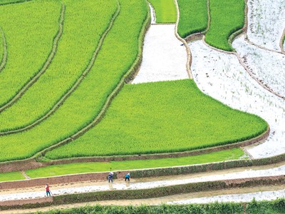 ESG và đòi hỏi thích ứng với sự thay đổi