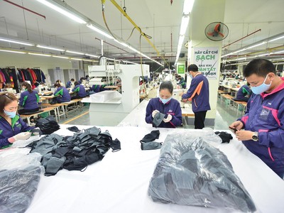 Năm 2020, doanh thu của TNG ước tính tăng trưởng khoảng 2% so với 2019