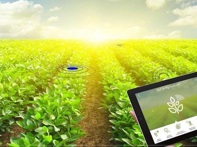 Nông nghiệp là một trong 8 ngành ưu tiên chuyển đổi số.