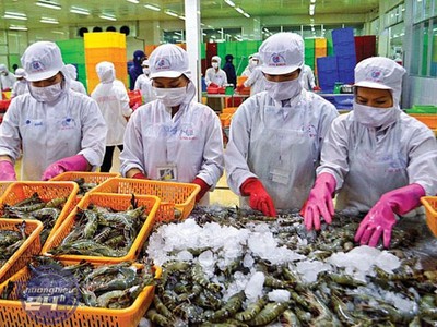 Anh một trong 10 thị trường Link Vào Nhà Cái KL99 COM Tặng +199k thủy sản lớn nhất của Việt Nam, thị phần thủy Kl994 nhà cái bóng đá world cup khẩu của ta tại thị trường này năm 2020 đạt hơn 4% (năm 2015 đạt 1,03%).