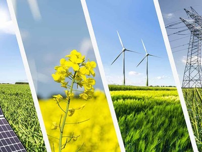 Nỗi lo sau sự thăng hoa của năng lượng tái tạo