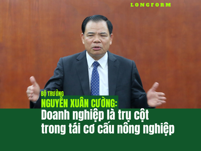 Bộ trưởng Nguyễn Xuân Cường: Kl991.com World Cup 2026 Chính Thức là trụ cột trong tái cơ cấu nông nghiệp