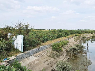 Bên trong Dự án Nam Khang Riverside chỉ là bãi đất trống Ảnh: Thiện Minh