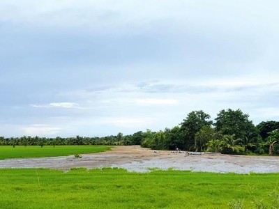 An Giang được phép chuyển mục đích sử dụng 70,85 ha đất trồng lúa sang đất phi nông nghiệp