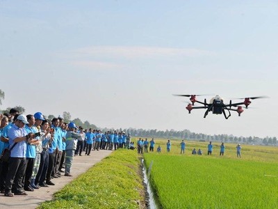 Kl99 nổ hũ gộp mảng mới của Lộc Trời chỉ mang về 3 tỷ đồng