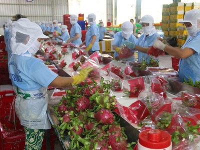 Nông sản Việt: Được cả mùa và giá ngay từ đầu năm