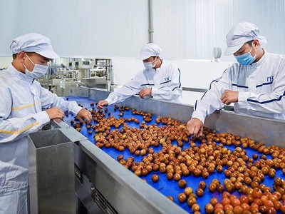 Tấp nập dự án Kl994 nhà cái bóng đá world cup, chế biến rau quả