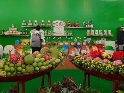 Trái cây đặc sản của Vùng Đồng bằng sông Cửu Long