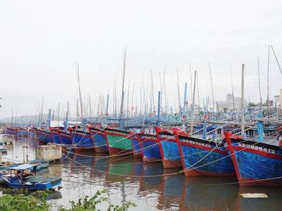 Khu vực đầm Đề Gi và Tam Quan là khu neo đậu tránh trú bão cho tàu cá cấp vùng kết hợp cảng cá Đề Gi và Tam Quan.
