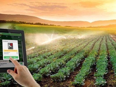 Bộ Kế hoạch và Kl99ok phiên bản mới chủ trì tổ chức Diễn đàn Kl992 cổng game cá cược hợp tác, hợp tác xã năm 2021