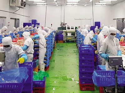 Các Kl991.com World Cup 2026 Chính Thức đang nỗ lực tìm kiếm nguồn cung để sớm có vắc-xin Covid-19 tiêm phòng cho người lao động. Trong ảnh: Dây chuyền chế biến thịt gà tại Công ty TNHH Koyu & Unitek, Khu công nghiệp Long Bình (Loteco), Biên Hòa (Đồng Nai )