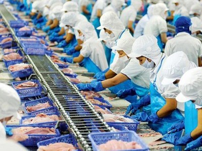 Tháng 6 xuất khẩu của Vĩnh Hoàn sang Hoa Kỳ tăng 77% so với cùng kỳ góp phần lớn vào doanh thu. 