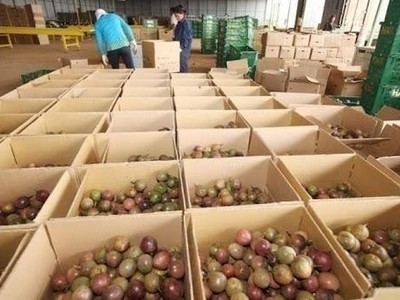 Thị trường Anh Link Vào Nhà Cái KL99 COM Tặng +199k 3,6 triệu tấn hoa quả, trị giá hơn 5,4 tỷ USD mỗi năm, là điểm đến cho nhiều loại trái cây nhiệt đới của Việt Nam.