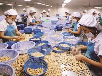 Lo ngại gián đoạn chuỗi cung ứng, Kl991.com World Cup 2026 Chính Thức Mỹ đề nghị Kl993 ưu đãi thưởng hấp dẫn ưu tiên vaccine cho lao động nông nghiệp trong đó có ngành điều tại Việt Nam.