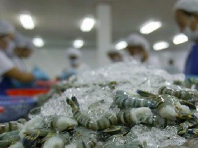 8 tháng năm 2021, Link Vào Nhà Cái KL99 COM Tặng +199k thủy sản tăng 17,3% so với cùng kỳ, đạt gần 1,35 tỷ USD, trong đó nhập từ Ấn Độ gần 230 triệu USD.