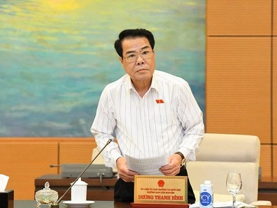 Trưởng Ban Dân nguyện Dương Thanh Bình trình bày báo cáo.