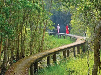 Khu du lịch sinh thái Làng nổi Tân Lập - một trong những điểm du lịch khám phá, trải nghiệm độc đáo ở Long An