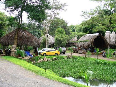 Nhiều nhà Kl99ok phiên bản mới săn đất Tây Nguyên để làm homestay, farmstay hay second home. Ảnh: Thành Nguyễn