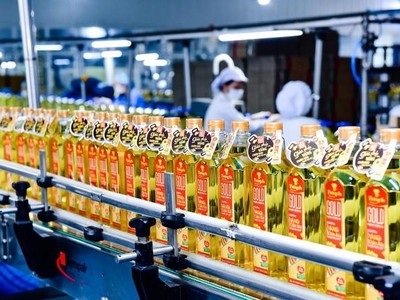 Doanh thu giảm tới 85%, Vocarimex (VOC) vẫn lãi ròng hơn 105 tỷ đồng trong quý IV/2023