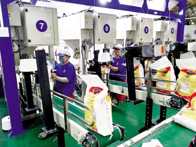 Đang đà tăng giá, Nông nghiệp công nghệ Trung An (TAR) có thêm Trang Chủ KL99Com Số 1 Link Đăng Ký KL999 mua hơn 1 triệu KL99 là cổng game giải trí trực tuyến hàng đầu hiện nay
